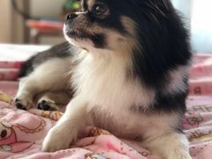 -帐篷客·溪龙茶谷度假酒店