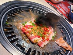 -猫爪爪原切自助烤肉(观音桥阳光世纪店)