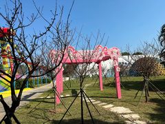 -观澜湖生态运动公社