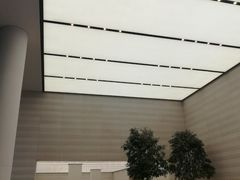 -Apple零售店(济南恒隆广场店)