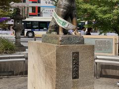 -涩谷全向十字路口