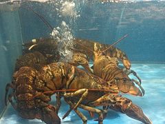 -百富源·海鲜辽菜(和平北大街店)