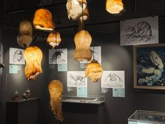 -冰岛阴茎博物馆