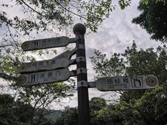 -张坝桂圆林公园