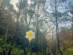-桃花岭景区