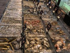 -浩运海鲜·16年专注青岛菜(石老人店)