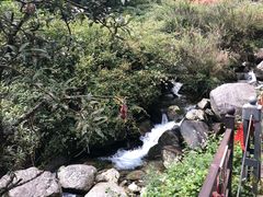 -苍山感通索道