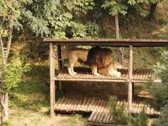 -石家庄市动物园