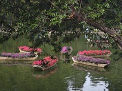 -广州市白云山风景名胜区