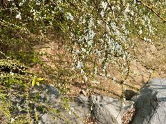 -玄武湖景区-情侣园游乐场