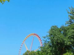 -辛玛王国游乐园