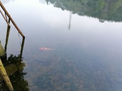 -重庆彩云湖湿地公园