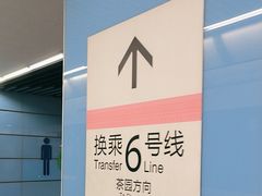 -大龙山(地铁站)