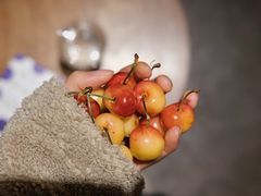 -竹子咖啡bamboo coffee