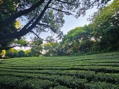 -敬亭山风景名胜区