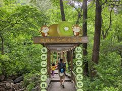 -大岭沟猕猴桃谷风景区