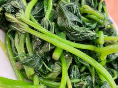 蒜蓉蕃薯叶-深运潮州粥(东门店)