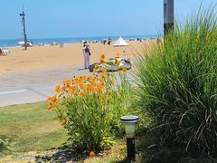 -青岛石老人海水浴场