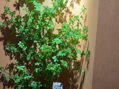 -泰·菩提树下[泰式按摩x精油SPAx肩颈头疗](新景店)