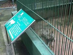 -广东茂名森林公园