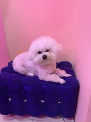 -Pink You美甲美睫纹绣定制中心