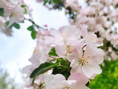 -大钟寺古钟博物馆