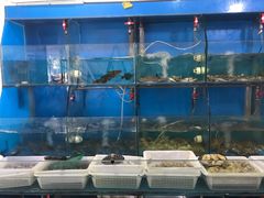 -红灯笼龙凤饭店(宁波老字号店)