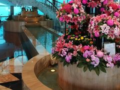 -深圳阳光酒店