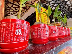 -顺记冰室(宝华路店)