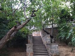 -北京张裕爱斐堡酒庄
