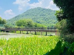 -八卦田遗址公园