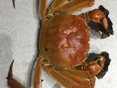 -苏浙徽·农家大院(开发区星湖101店)