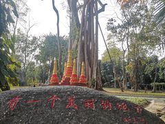 -瑞丽独树成林风景区