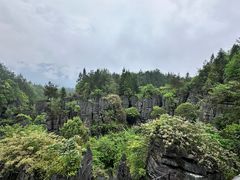 -梭布垭石林景区