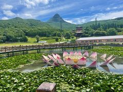 -帽儿山风景区