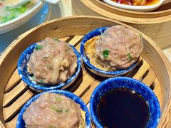-点都德·毕德寮