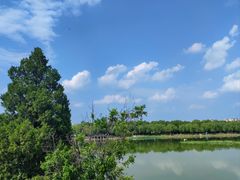 -素心小筑(后沙裕镇店)