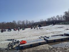 -东方巨龟苑景区