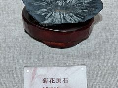 -安徽省地质博物馆