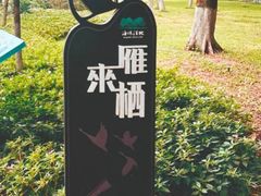 -海珠湖公园