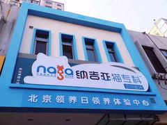 -纳吉亚猫专科动物医院博雅分院
