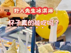 -野人先生Gelato(上海长宁龙之梦店)