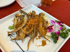 -赵小姐丨新中餐(曲江店)