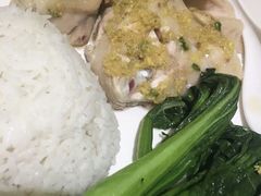 白切鸡饭-金利茶餐厅(中船汇店)