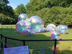 -上海共青森林公园