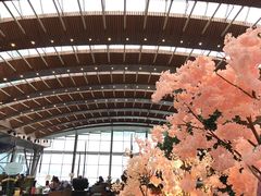 -苏州金鸡湖中茵皇冠假日酒店