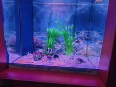 -多彩贵州城极地海洋世界