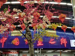 -小舅母子烤鱼(天生城店)
