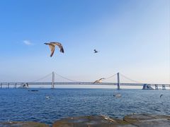 -星海广场