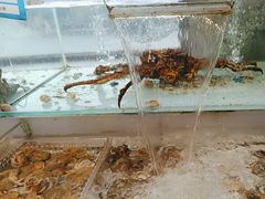 -山海经·海边人家 海鲜新青岛菜(扬州路店)